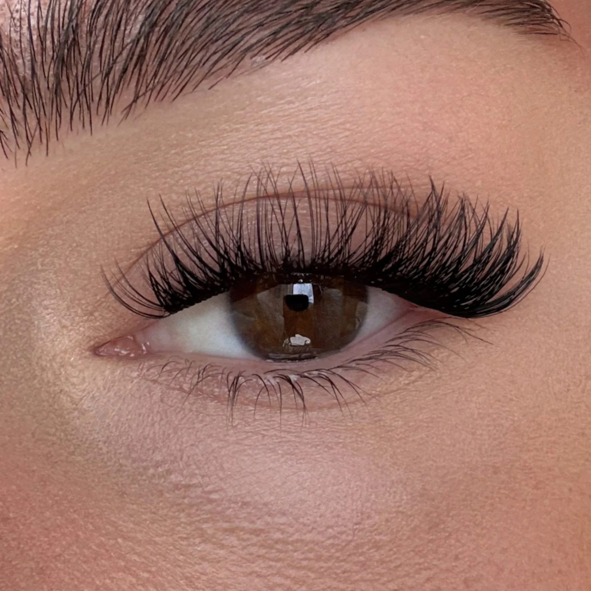 Lash clusters